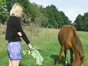 Boeren hebben seks buiten